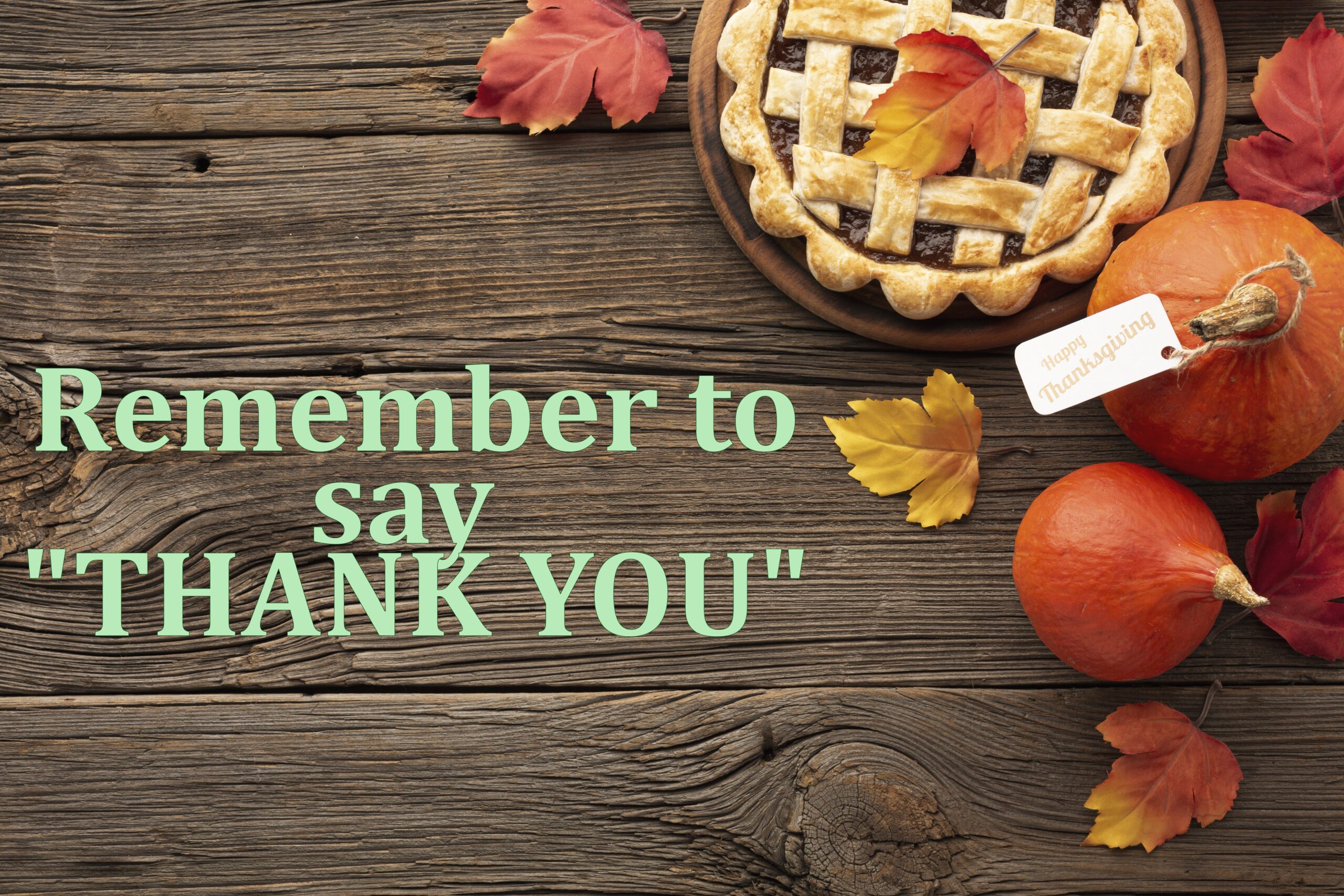 say thank you Say thank you